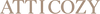 ATTICOZY